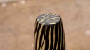 Camel skin lamp                 - Duplicate IMG # 1
