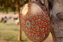 Camel skin wall mount lamp   - Duplicate IMG # 1