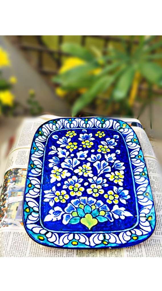 kashi tray