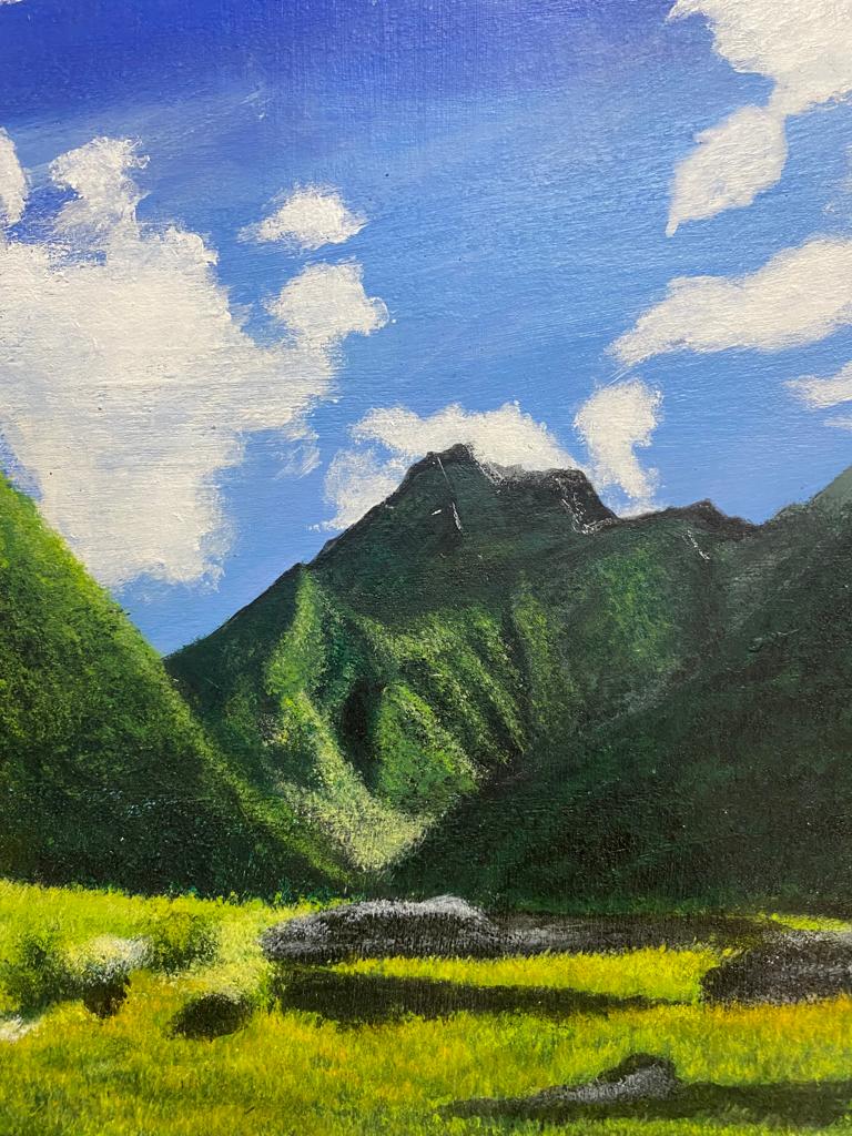 Acrylic Painting on Canvas: Tormik Meadows Roundu Gilgit Baltistan
