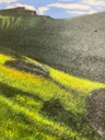 Acrylic Painting on Canvas: Tormik Meadows Roundu Gilgit Baltistan