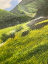 Acrylic Painting on Canvas: Tormik Meadows Roundu Gilgit Baltistan