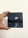 Mountains and Sea at Night on Supermoon
