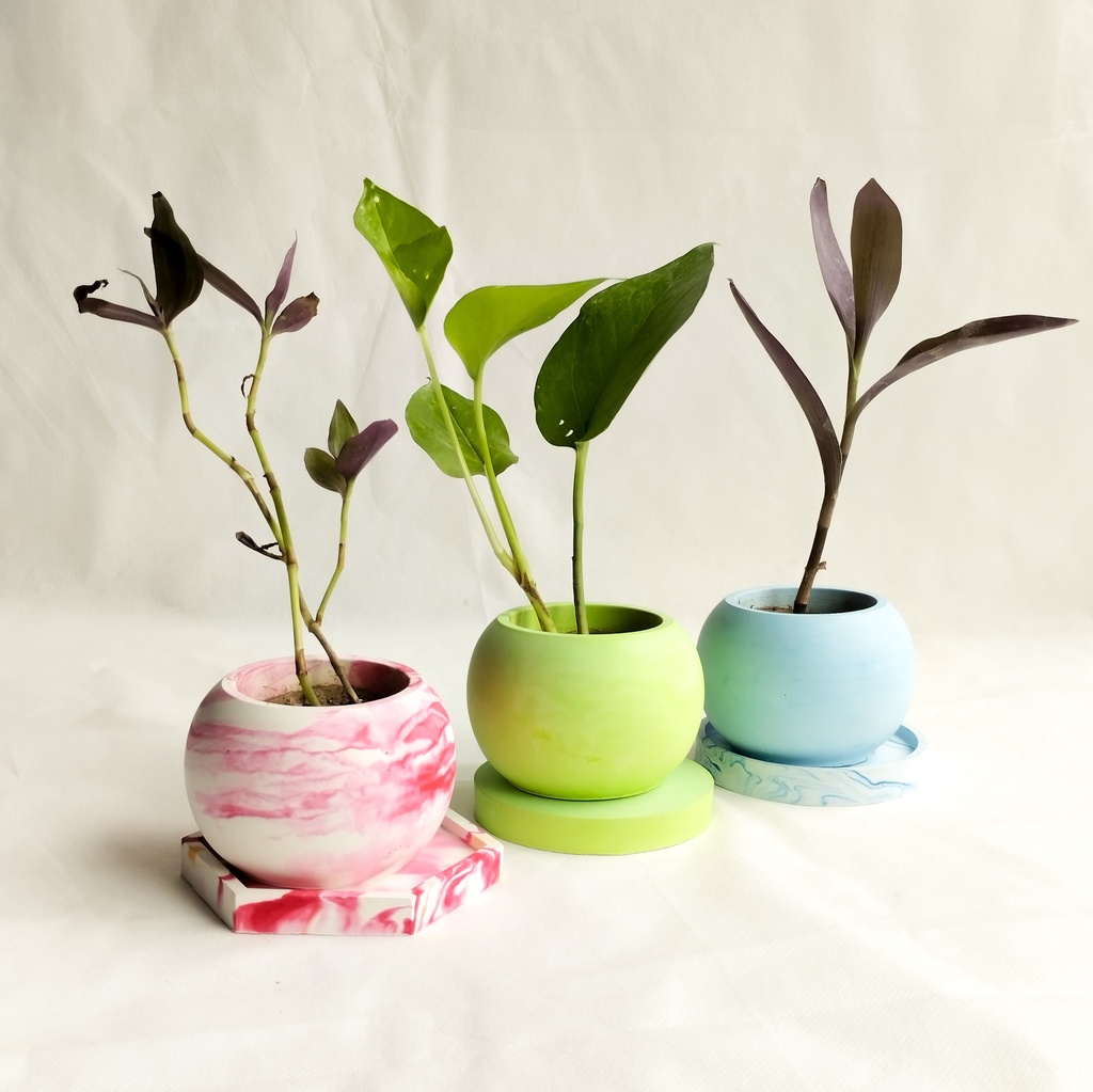 3 Planter set with coaster