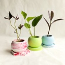 3 Planter set with coaster