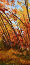 Autumn Forest Landscape