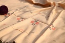 Swati Khaddi Embroidered Wool Shawl