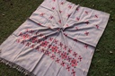 Swati Khaddi Embroidered Wool Shawl