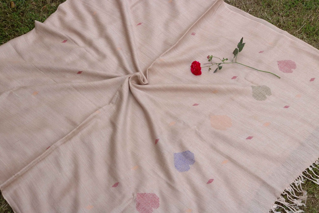 Swati Khaddi Embroidered Wool Shawl