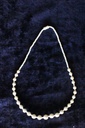 Camelbone Necklace IMG # 5540