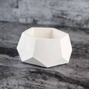 The Dodecaheadron Planter - White IMG # 1