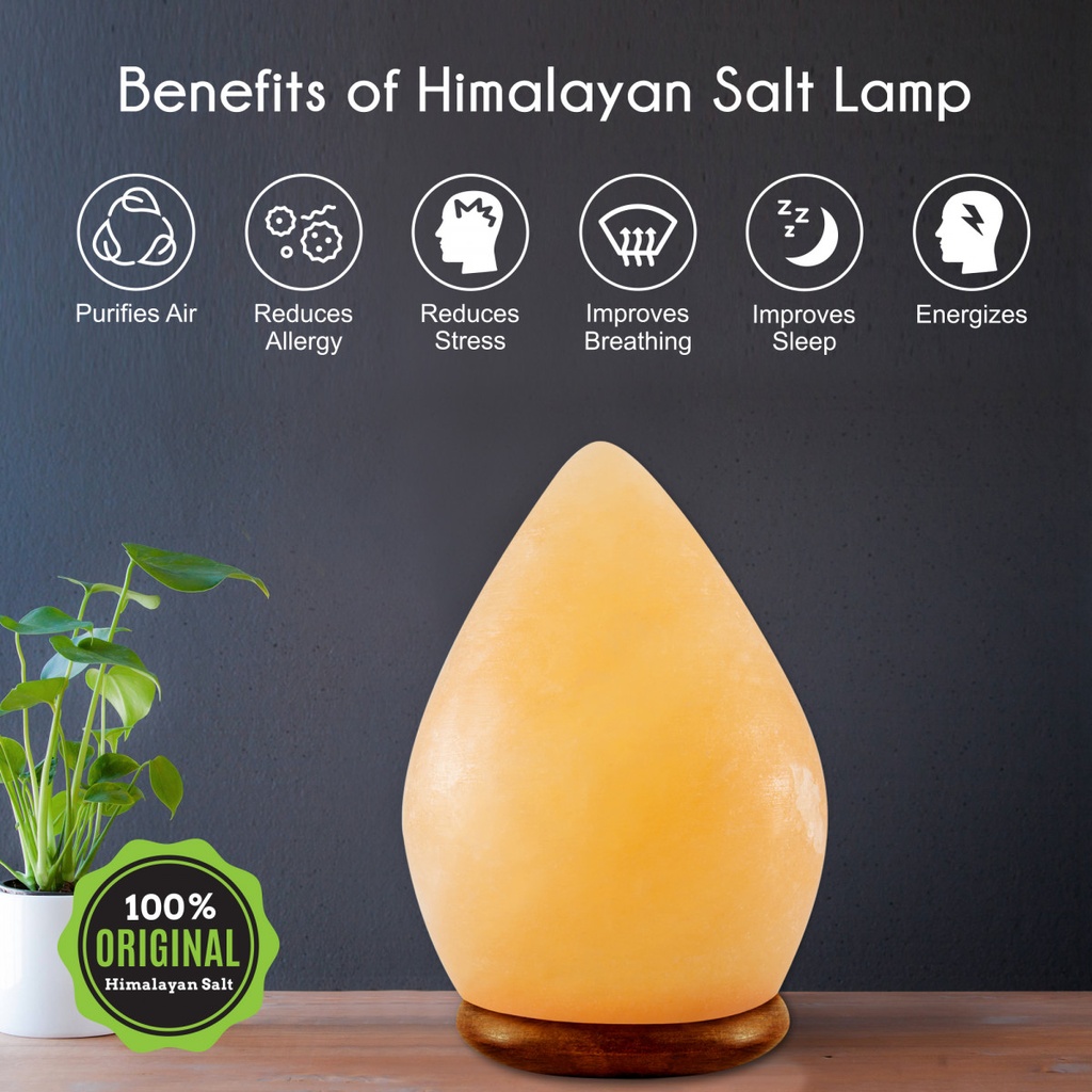 Egg Salt Lamp