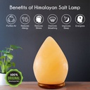 Egg Salt Lamp