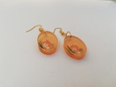 Peach Dried Flower Eardrops