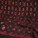 Embroidered Shawl 
