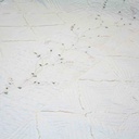 Bed sheet