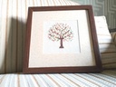 The tree IMG # 1