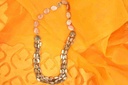 Seashell Necklace IMG # 1
