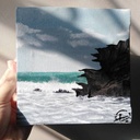 The Vacations IMG # 1