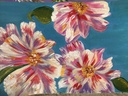 Creamy petals IMG # 2