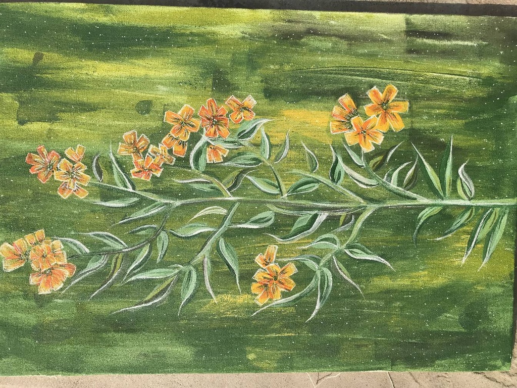 Carolina jessamine IMG # 1