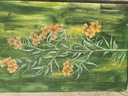 Carolina jessamine IMG # 1