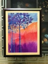 Jacaranda tree IMG # 1