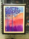 Jacaranda tree IMG # 2