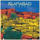 Islamabadi Swag Tee IMG # 1