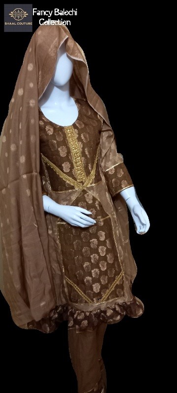 Brown Fancy Balochi IMG # 1