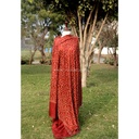 Hand Weaved Pure Kashmiri Kani Shawl