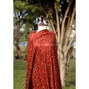 Hand Weaved Pure Kashmiri Kani Shawl