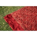 Kaani Border Shawl (copy)
