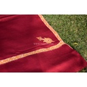 Hand Weaved Pure Kashmiri Kani Shawl