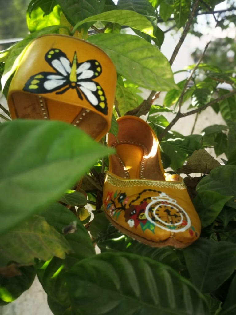 Hand Painted Leather Khussa