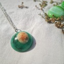 Seashell pendant