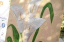 Painting - Duplicate IMG # 1