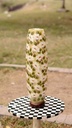 Camel skin lamp                - Duplicate IMG # 2