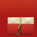 Embellished Long Money Envelopes