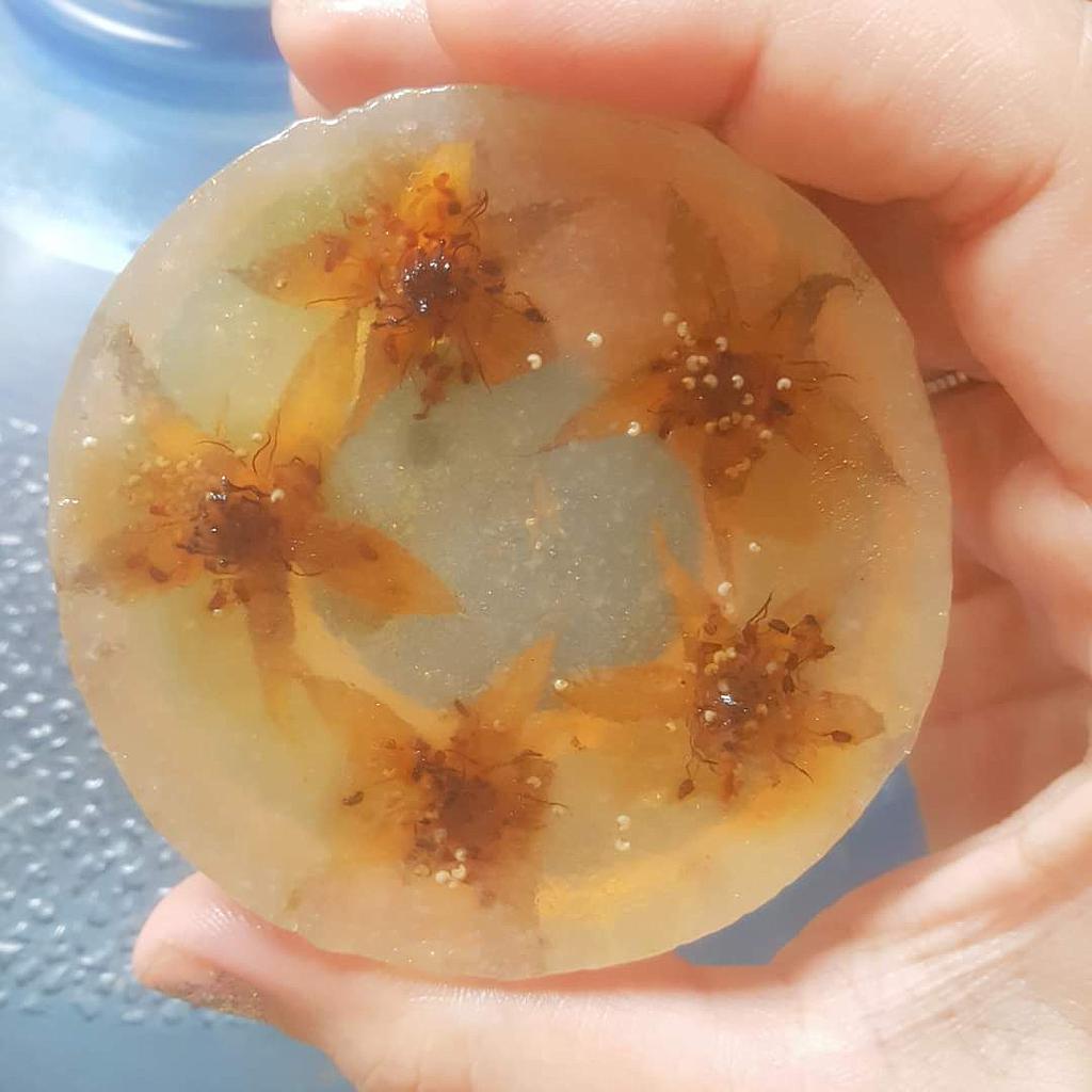 Handmade Floral Soap