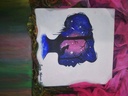 Galaxy girl