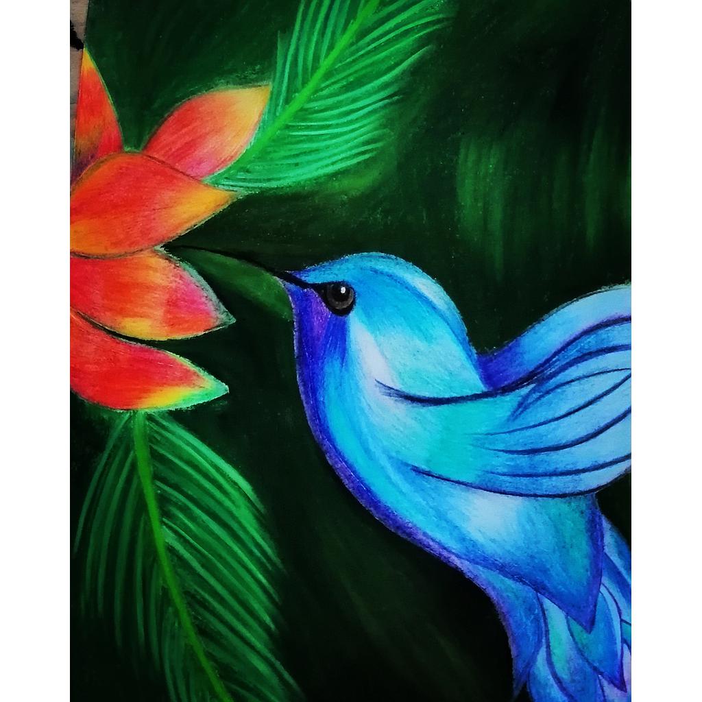Art Of A Bird