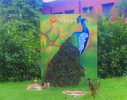 Peacock