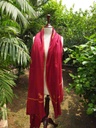 Woollen Pashmina Shawl with Kani Outline