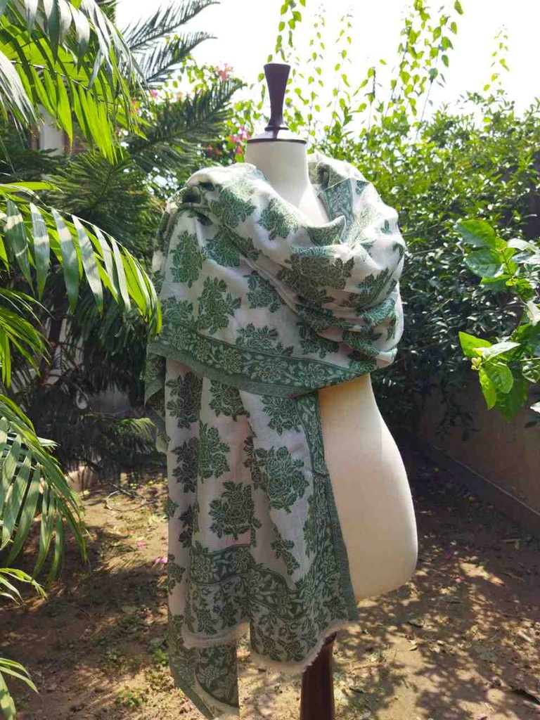 Woollen Pashmina Shawl with Kani Outline