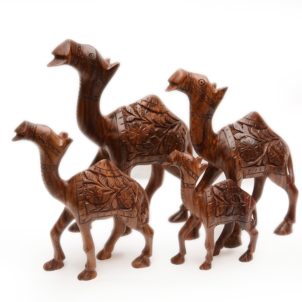 Camel Set