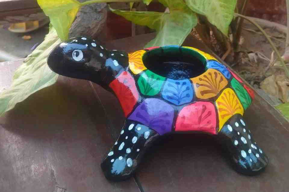 Hand Painted Turtle