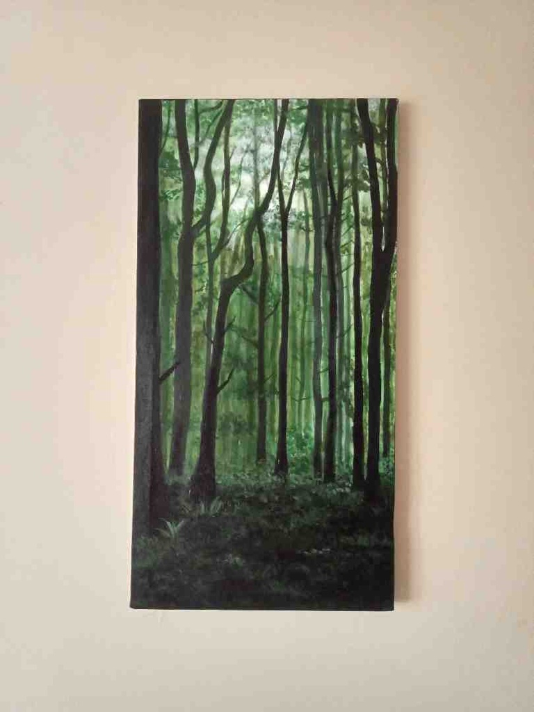 Rain Forest