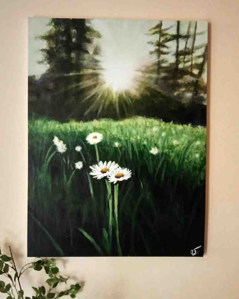 Daisy Dreams