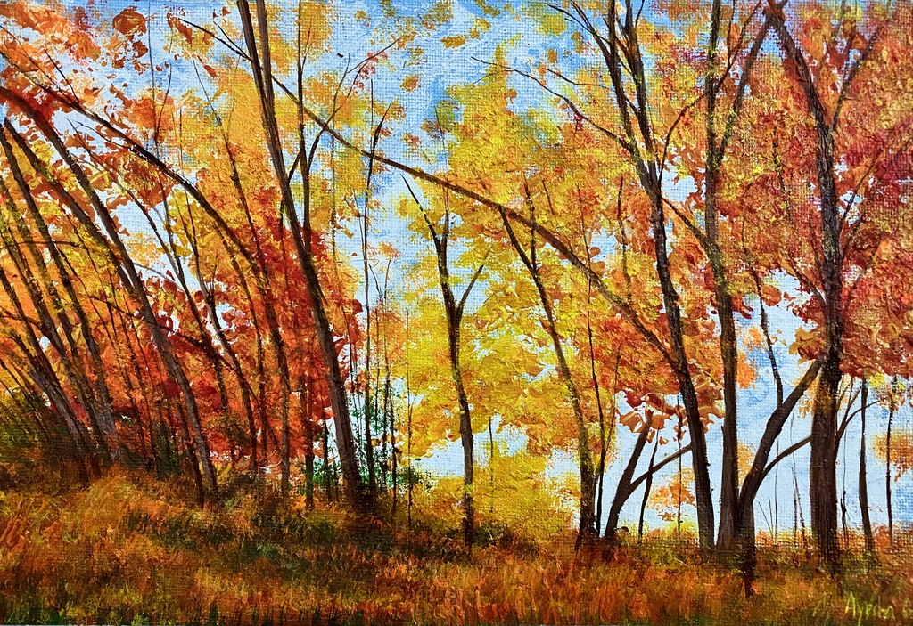 Autumn Forest Landscape